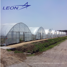 Leon Series multi-span agricultural plastic film greenhouse